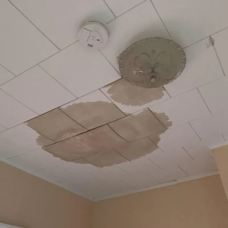 Ceiling Water Damage Repair in Lake of the Pines, CA