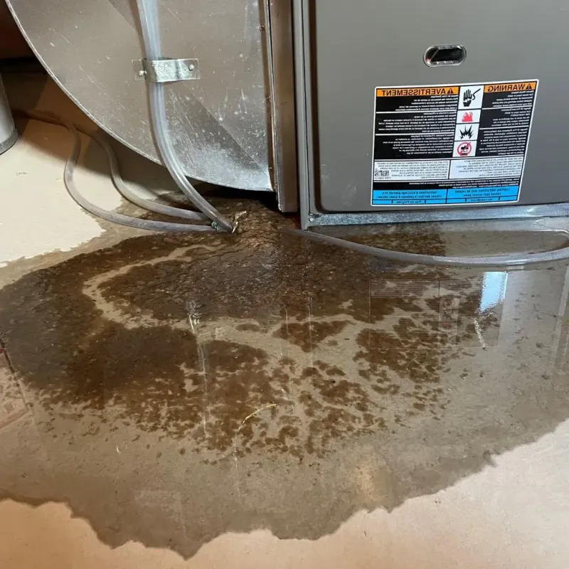 Pipe Burst and Leak Restoration in Lake of the Pines, CA